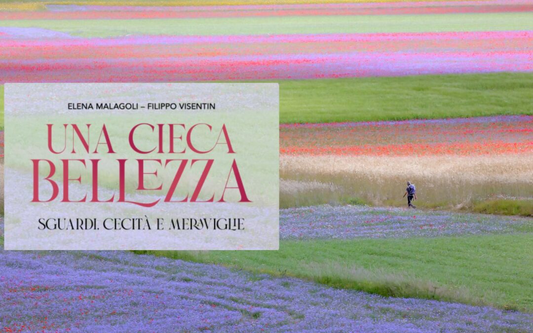 Il mio ultimo libro: ‘Una cieca bellezza’