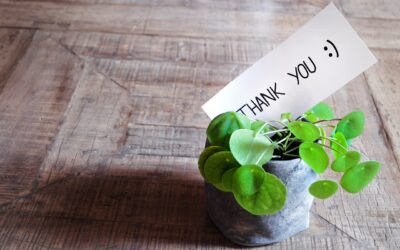 La gratitudine nelle relazioni, cerchi di bellezza e di cura