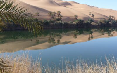 Il deserto dei caregiver e l’oasi dei piccoli gesti