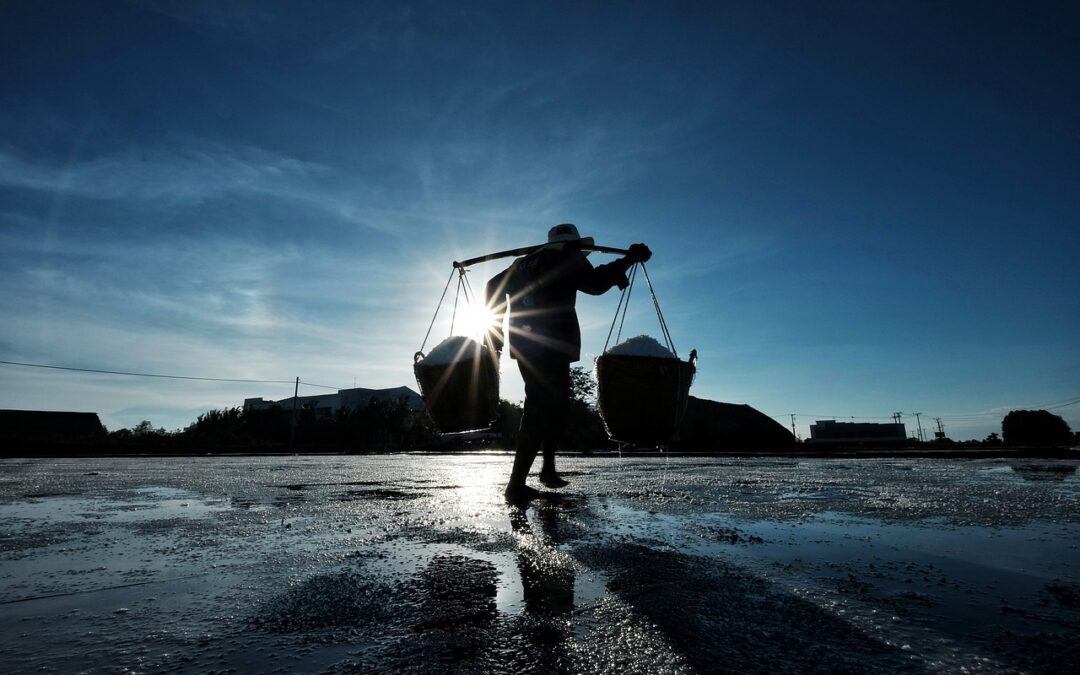 Non conta che lavoro fai ma quali relazioni proteggi