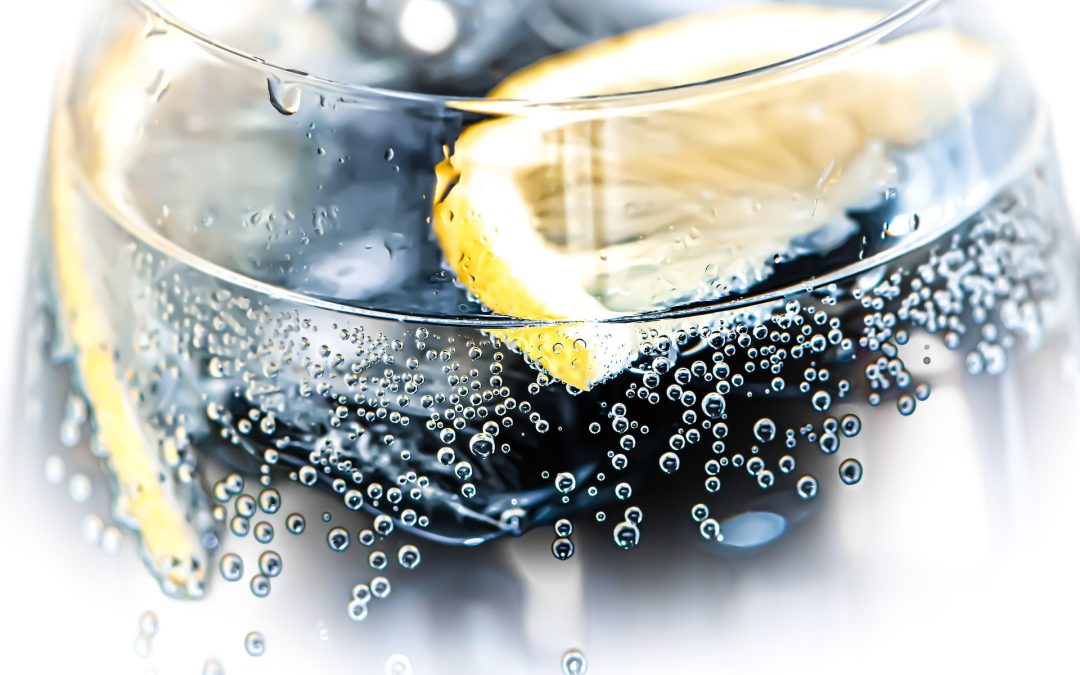 Un aperitivo con il gintonic